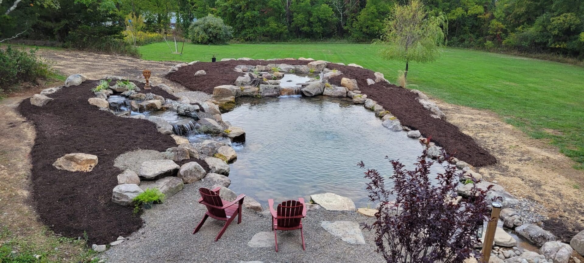 pond with wetland
