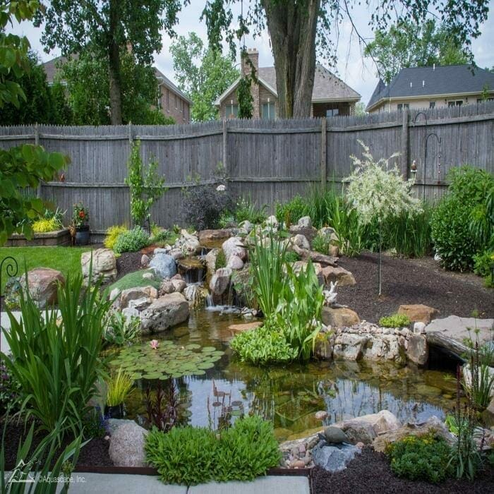 How Much Does a Koi Pond Cost in New York?