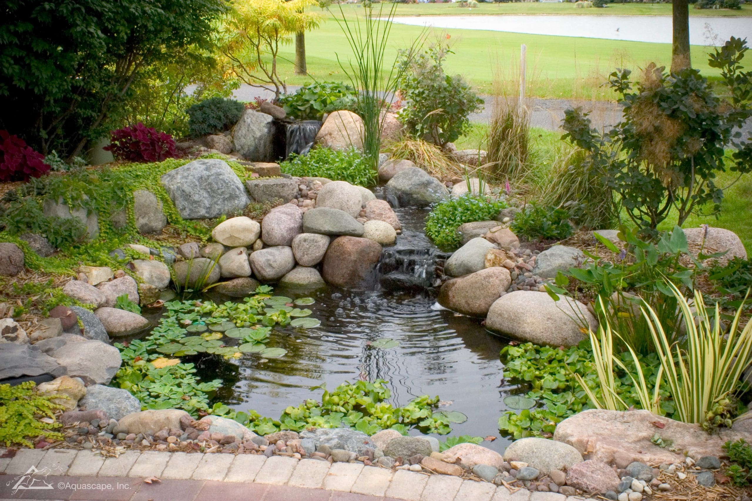 8’X11’ POND-image