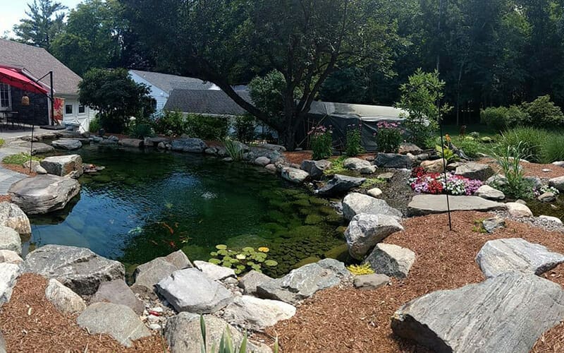SMALL RECREATIONAL POND-image