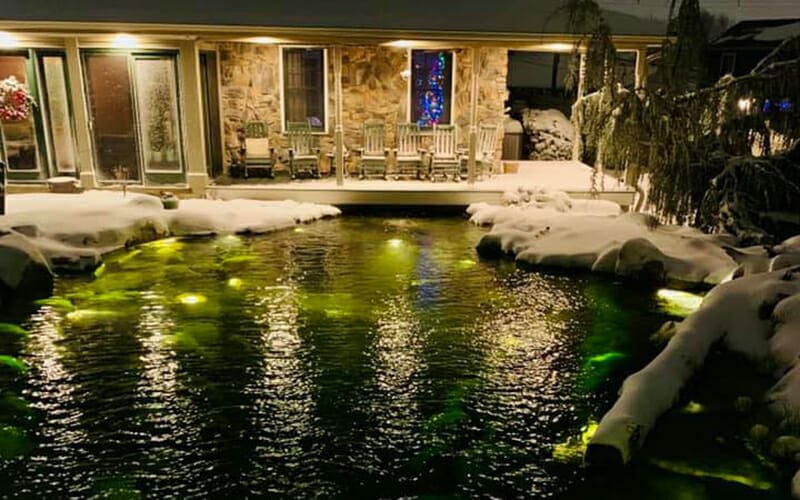 MEDIUM RECREATIONAL POND-image