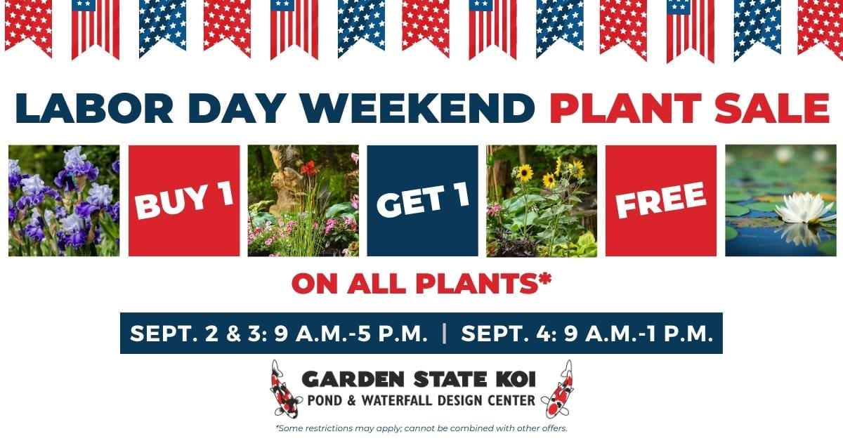 2023 labor day sale gsk web