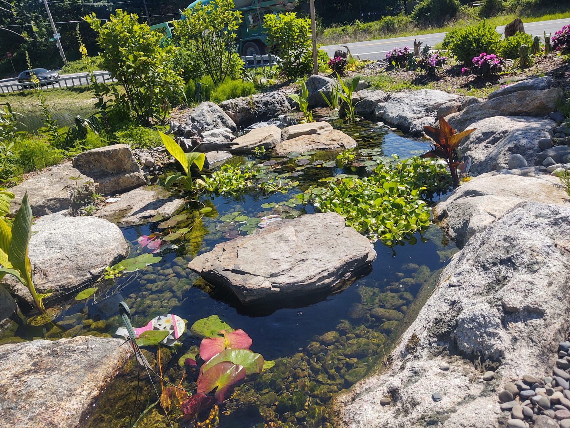 skim cove