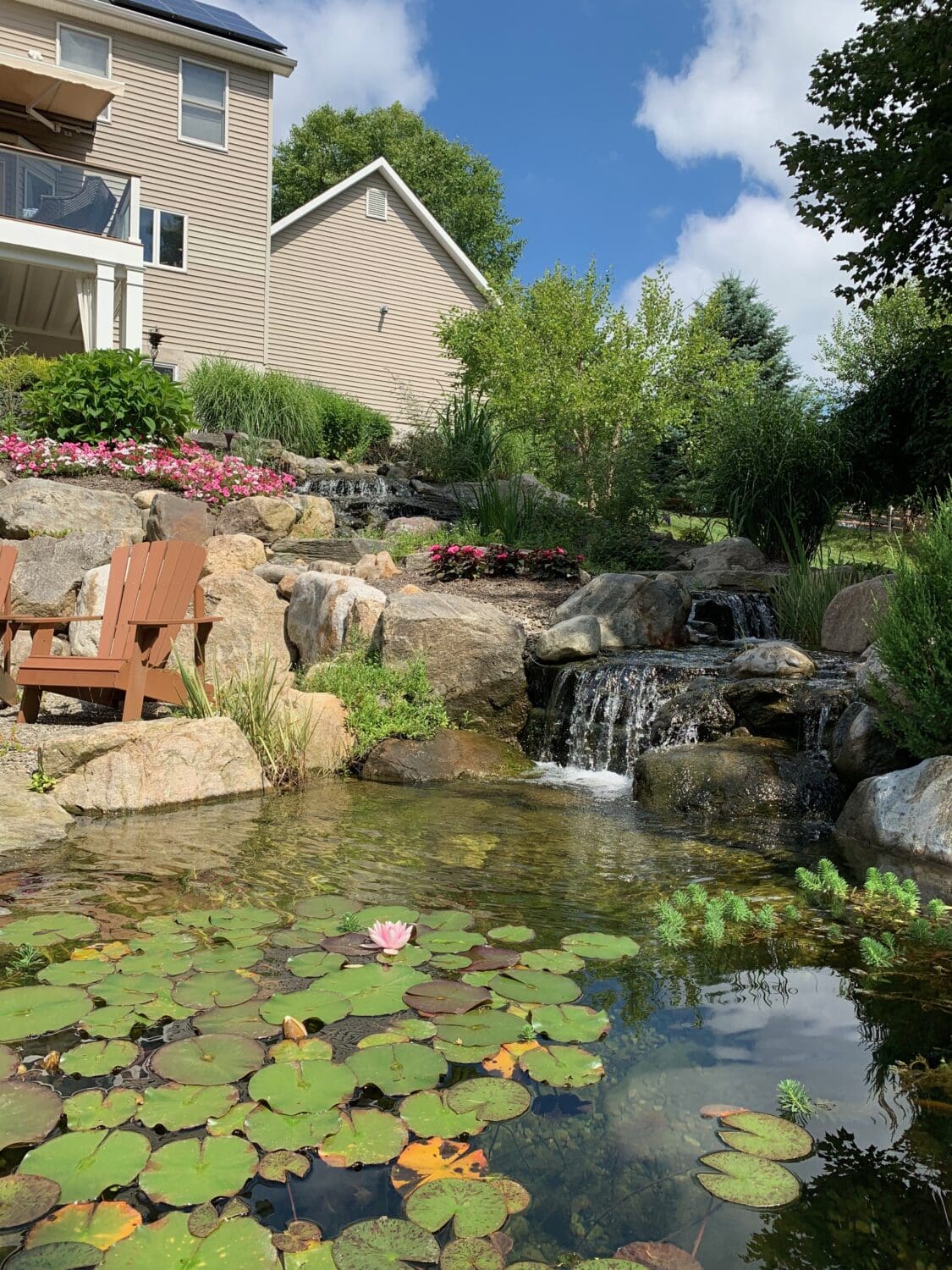 img 0497