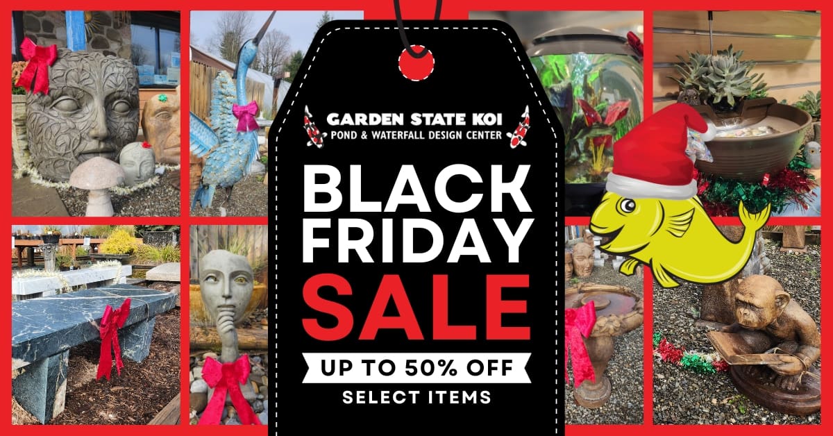 2023 gsk blackfriday web event 1