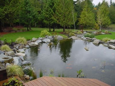 natural pond with epdm liner3