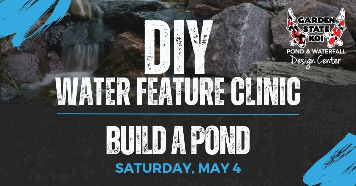 build a pond may 4