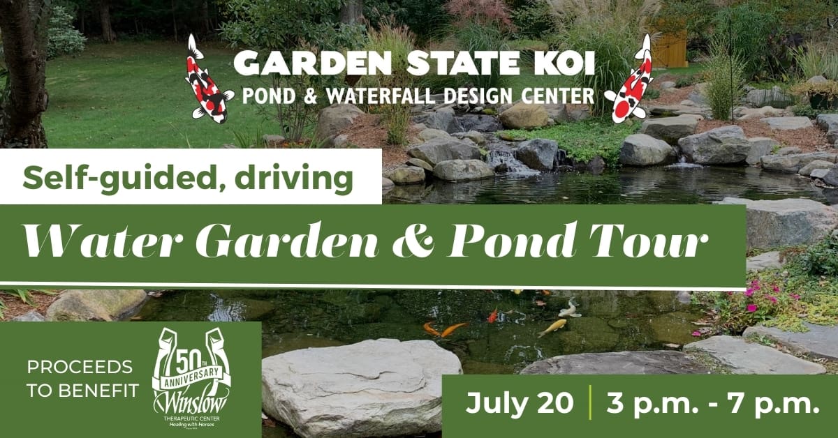 pond tour july 20 (1)
