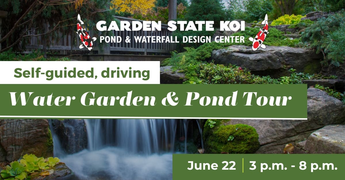 pond tour june 22