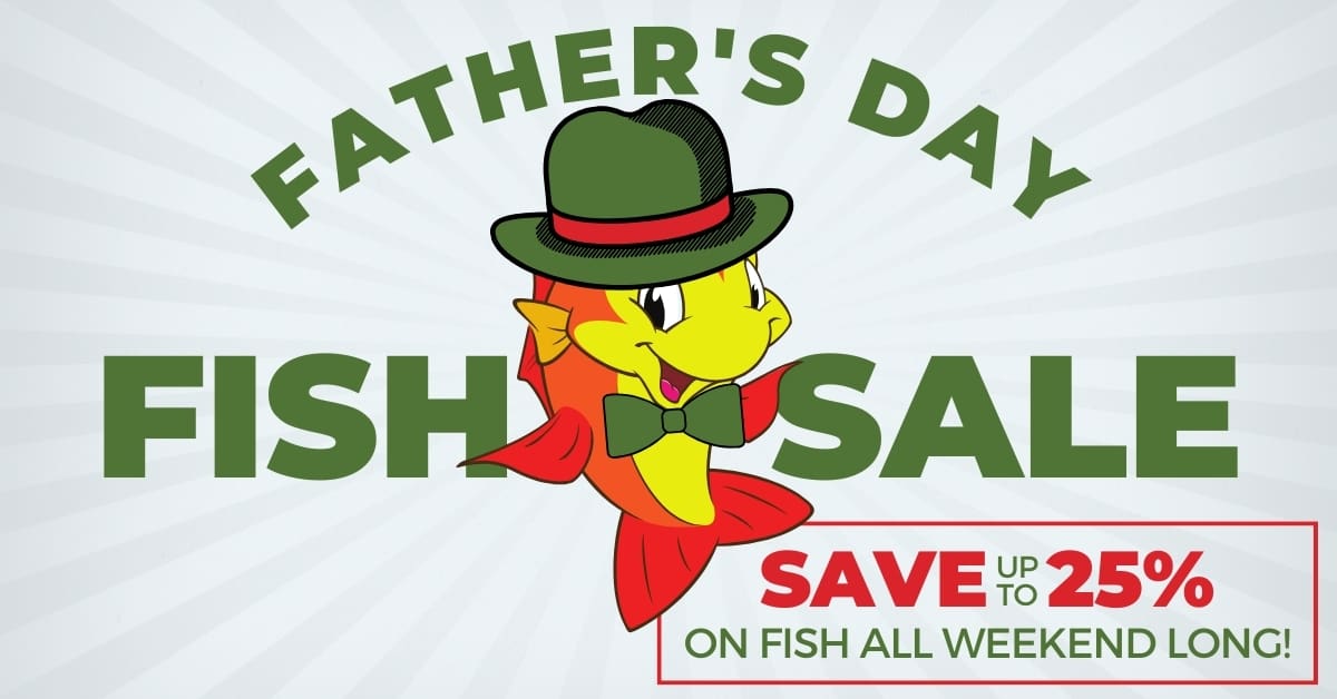 fathers day web