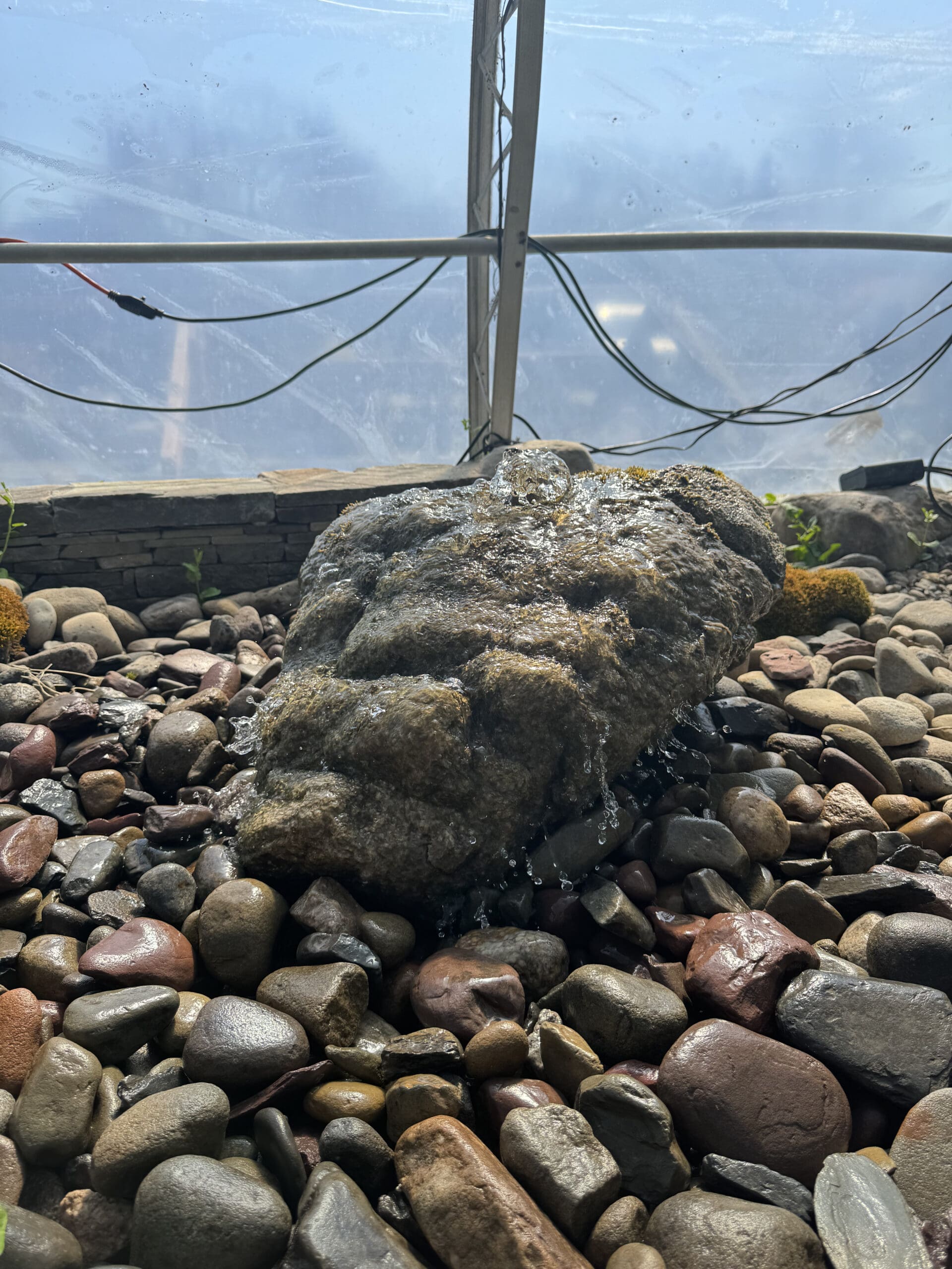 small bubbling rock