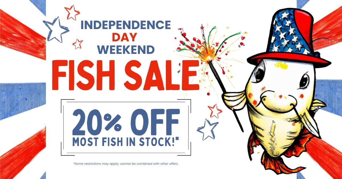 gsk independence day sale web