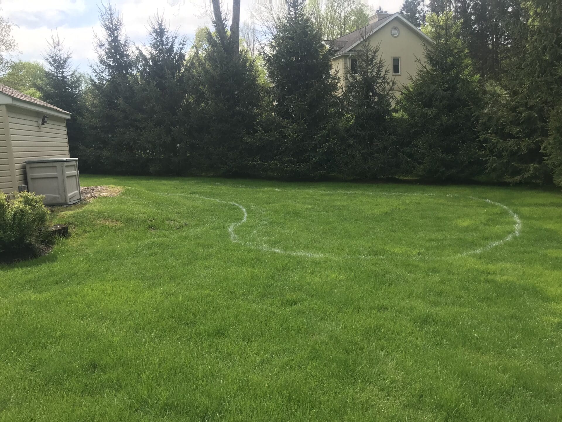 img 0861