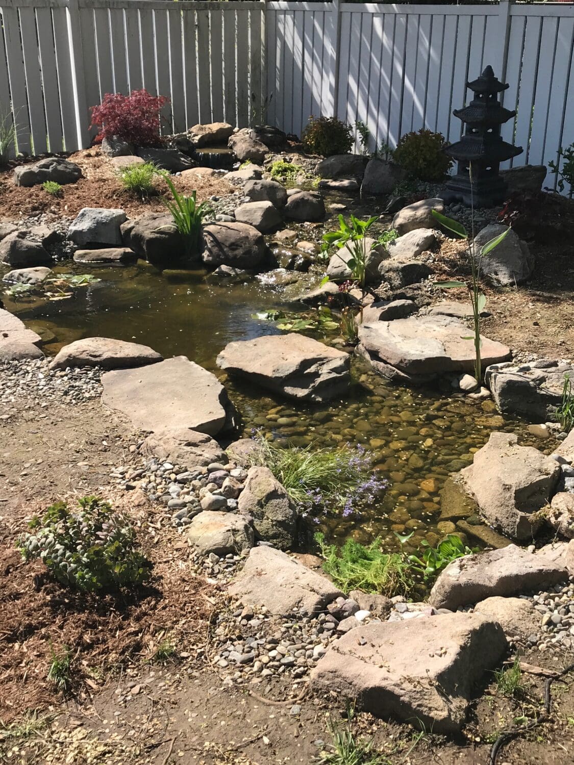 img 0921