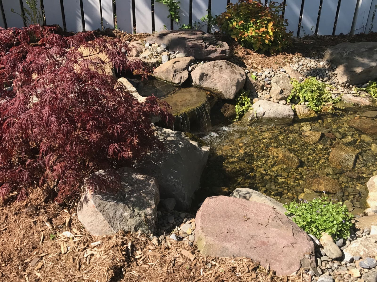 img 0922