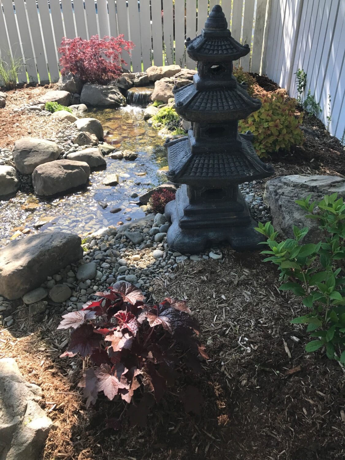 img 0923