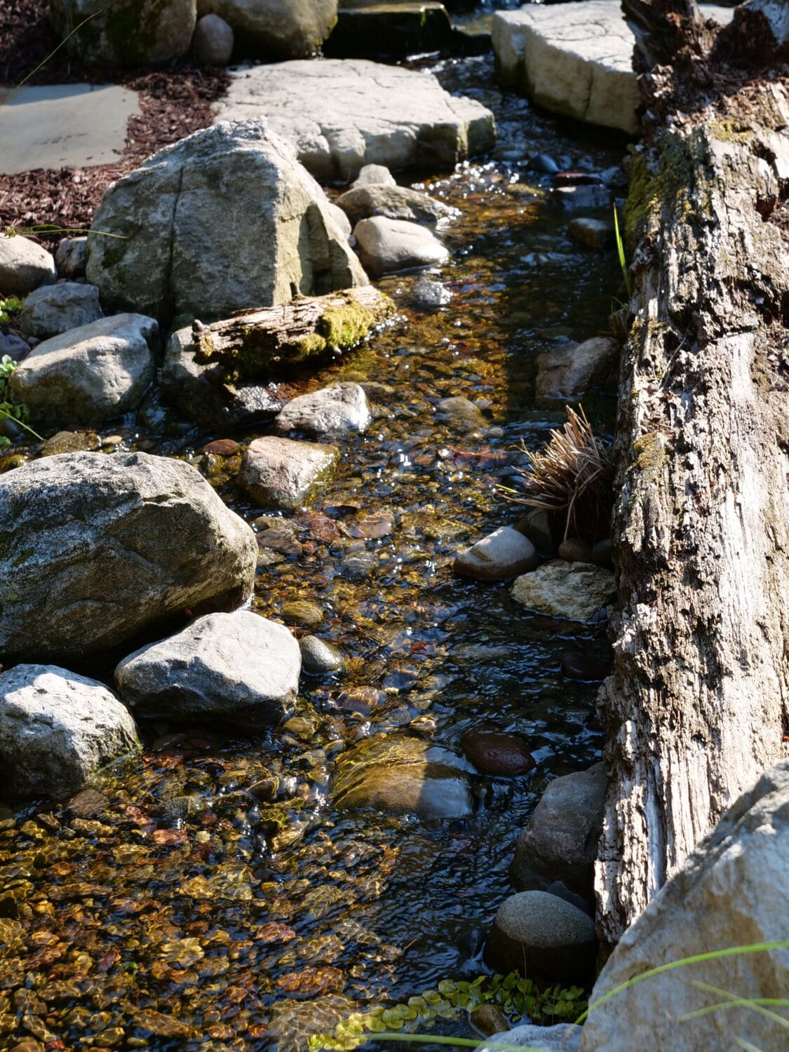 p1039240