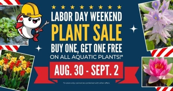 2024 gsk labor day sale web