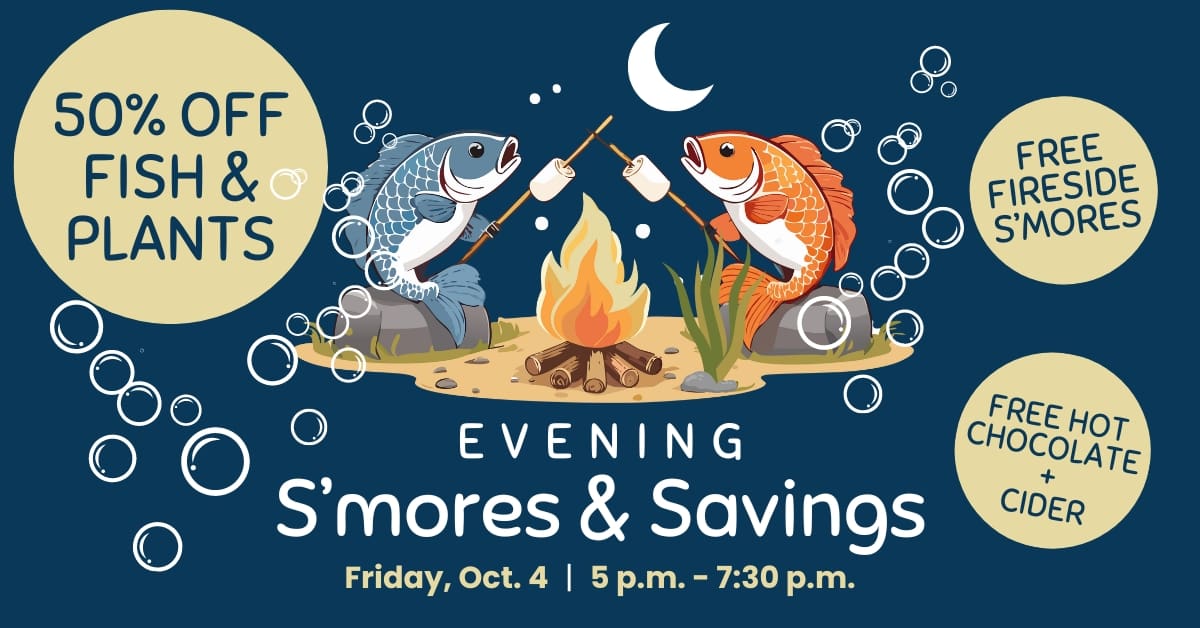 GSK S'mores & Savings