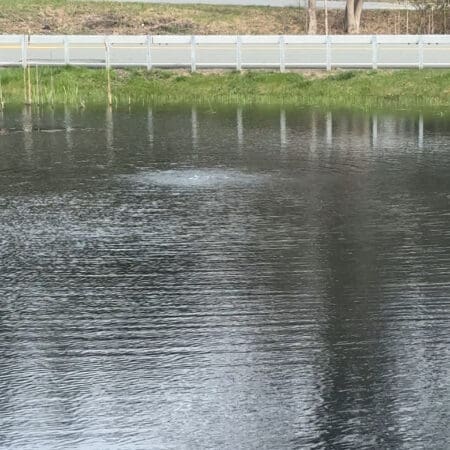 Natural Pond Aeration