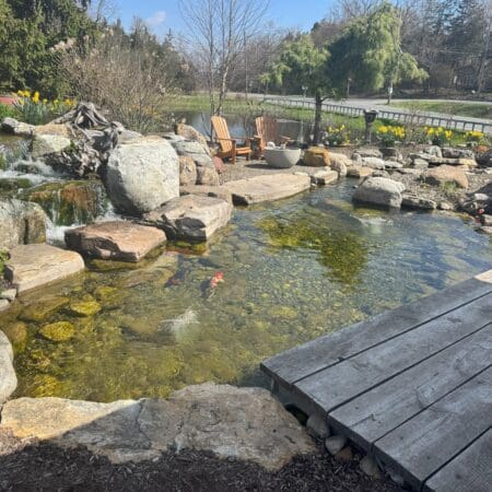 She Shed Pond