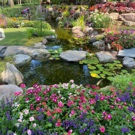 KoiFishPond-SteppingStones-Plants