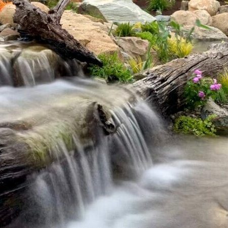 KoiFishPond-Waterfall-Driftwood