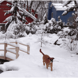 Winter-7
